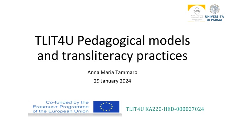 Exploring Transliteracy and Pedagogical Models in Digital Learning Environments