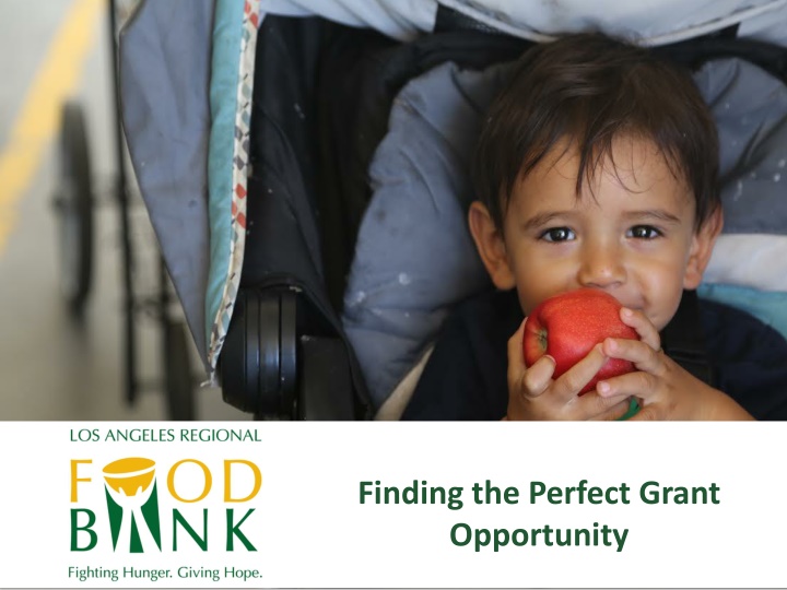 Strategies for Finding the Perfect Grant Opportunity