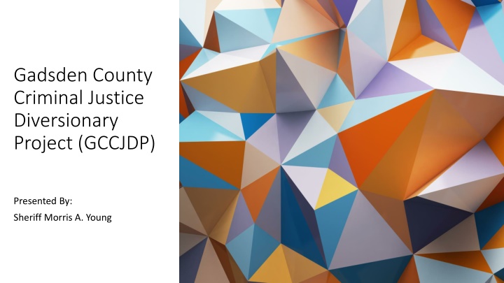 Gadsden County Criminal Justice Diversionary Project Overview