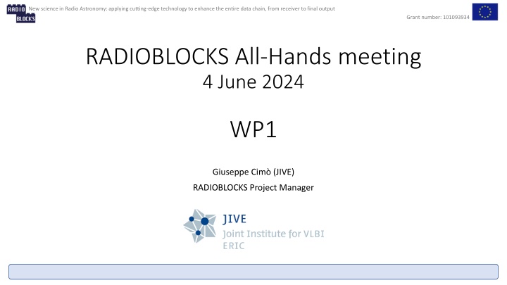 Advancing Radio Astronomy Through Technology: RADIOBLOCKS Project Overview
