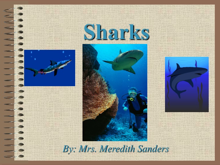 Fascinating Facts About Great White Sharks