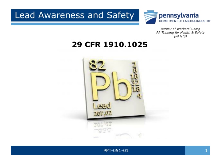 Lead Awareness and Safety Training Overview