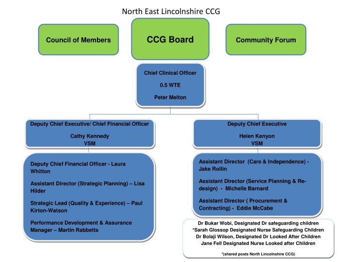 Organizational Structure and Leadership Roles in North East Lincolnshire CCG