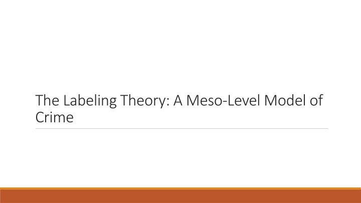 The Labeling Theory in Criminology