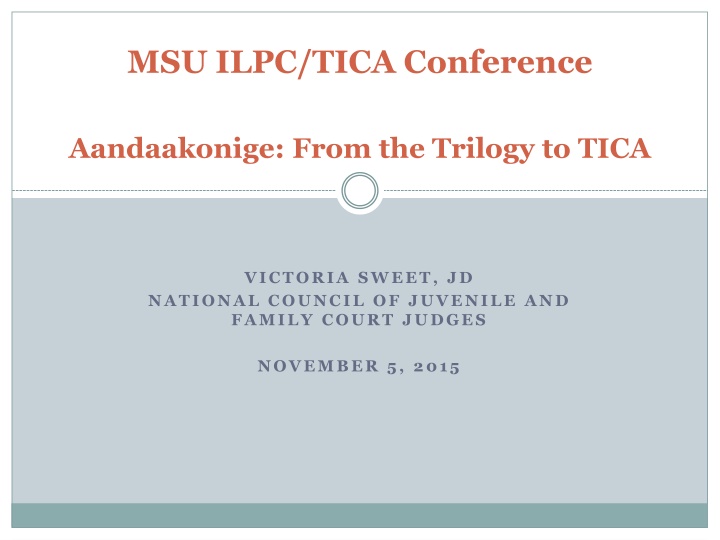 Addressing Disproportionality in Juvenile and Family Courts: Insights from TICA Conference