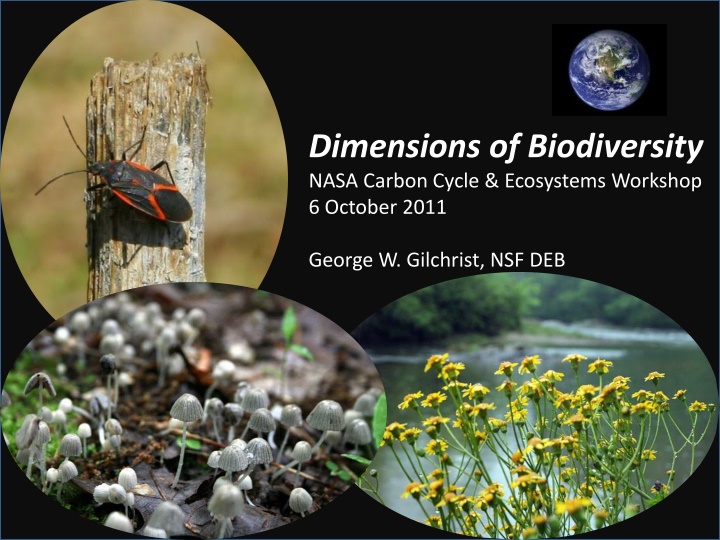 Dimensions of Biodiversity - Exploring Earth's Diverse Ecosystems