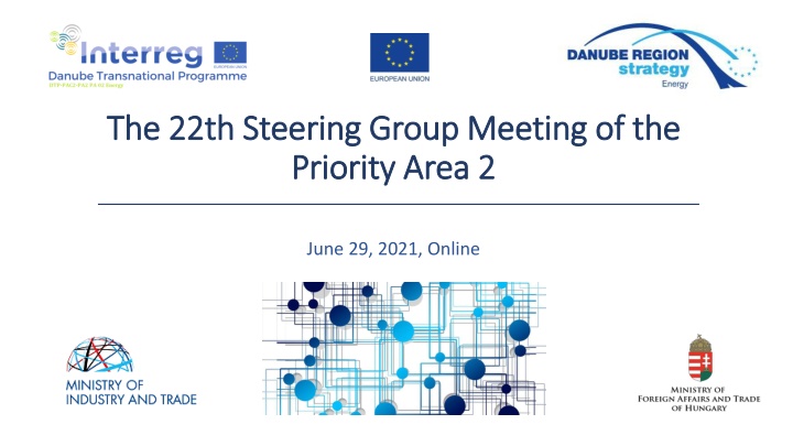 Steering Group Meeting - Priority Area 2, June 29, 2021