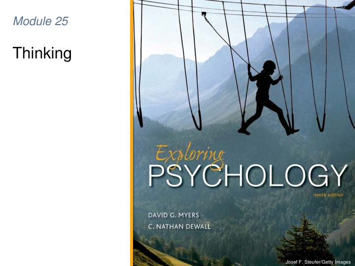Cognition and Decision Making