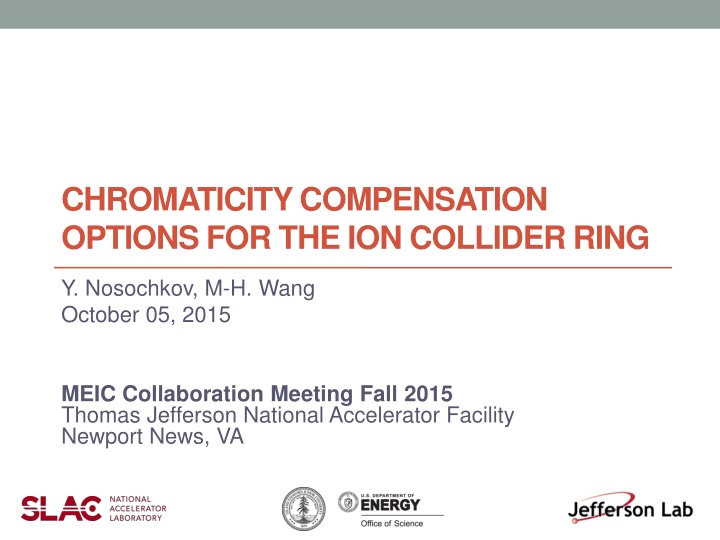 Chromaticity Compensation Options for the Ion Collider Ring