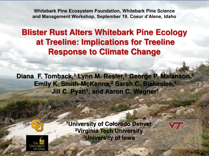 Implications of Whitebark Pine Blister Rust on Treeline Ecology