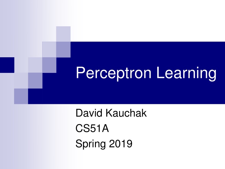 Perceptron Learning Algorithm in Neural Networks