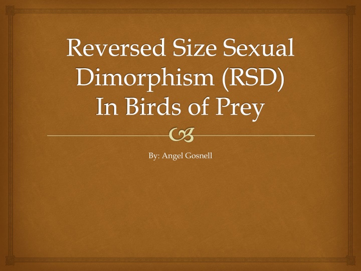 Reversed Size Sexual Dimorphism in Birds of Prey