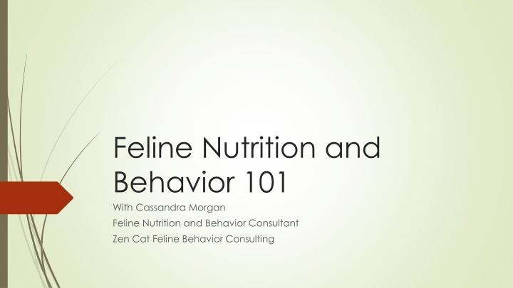 Feline Nutrition and Behavior: A Journey Through History