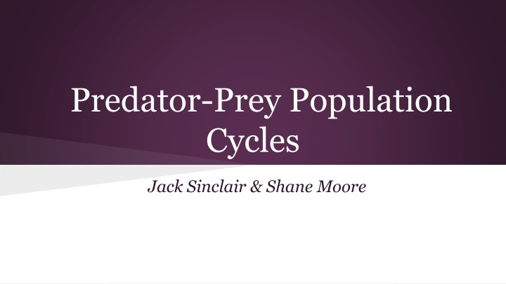 Predator-Prey Population Cycles: Analysis and Insights
