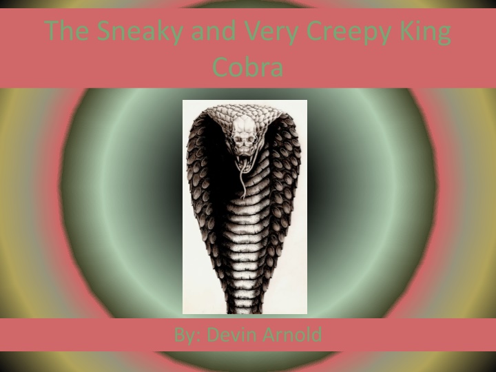 The Sneaky and Very Creepy King Cobra - Facts and Information