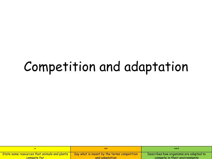 Competition and Adaptation in Nature