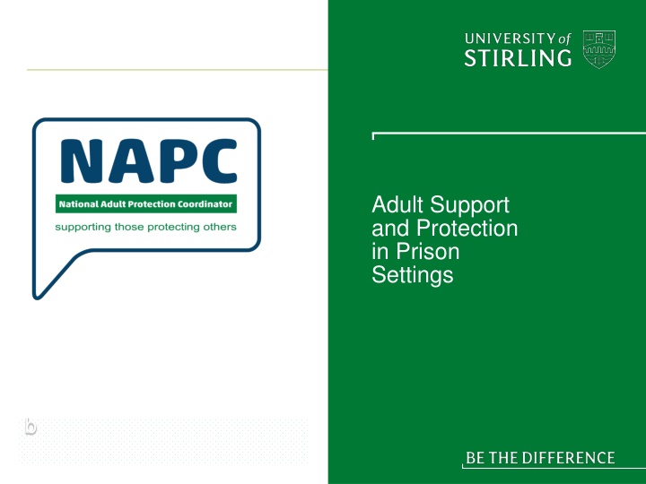 Challenges and Solutions in Adult Support and Protection within Prison Settings