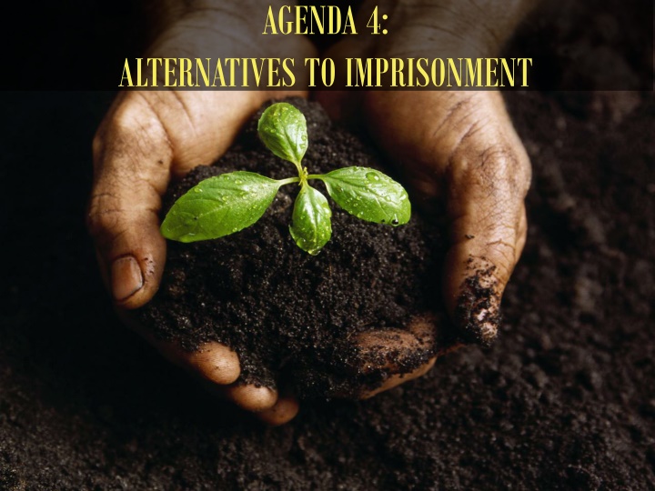 Alternatives to Imprisonment in Criminal Justice Systems
