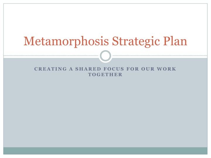 Metamorphosis Strategic Plan Overview