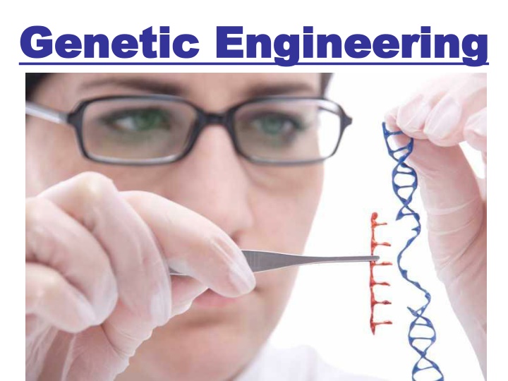 Genetic Engineering and Selective Breeding