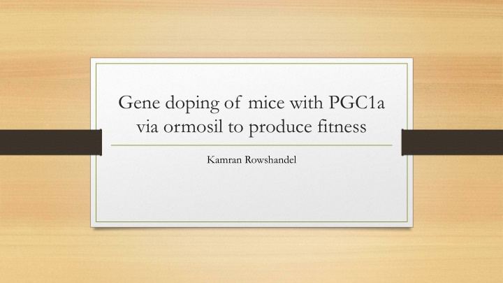 The Effects of Gene Doping with PGC1a via Ormosil on Fitness in Mice