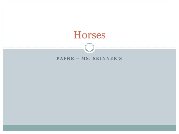 Horse Facts and History Overview