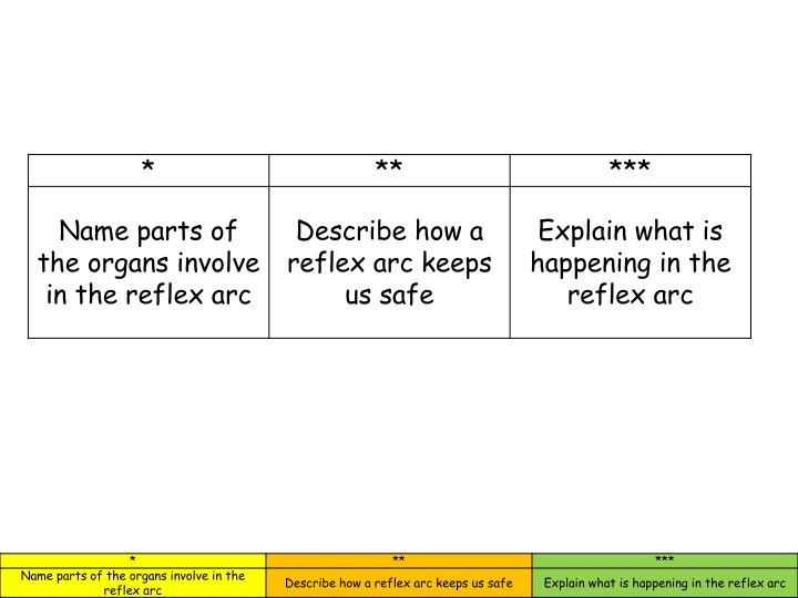 Reflex Arcs and Testing Responses for Safety