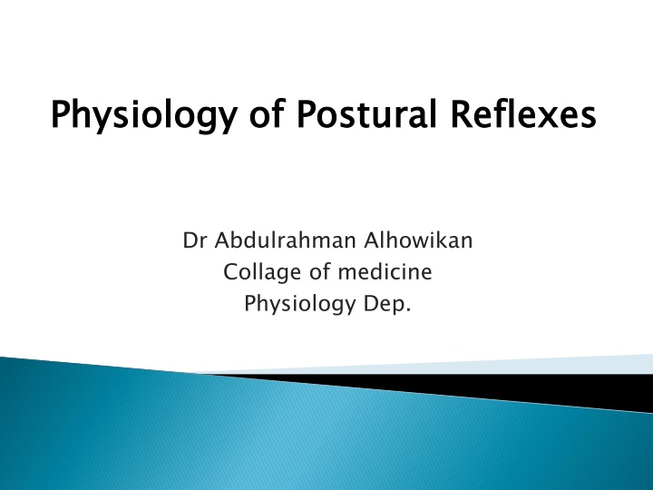The Physiology of Postural Reflexes in Maintaining Body Equilibrium