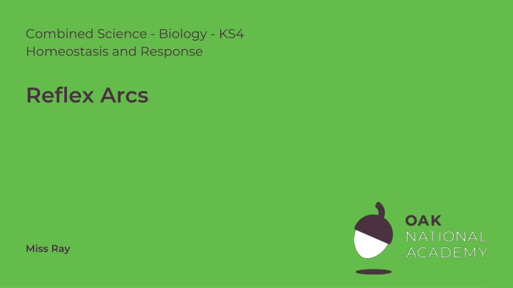 Reflex Actions in Biology - Exam Style Questions