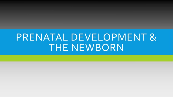 Prenatal Development and Newborn Reflexes