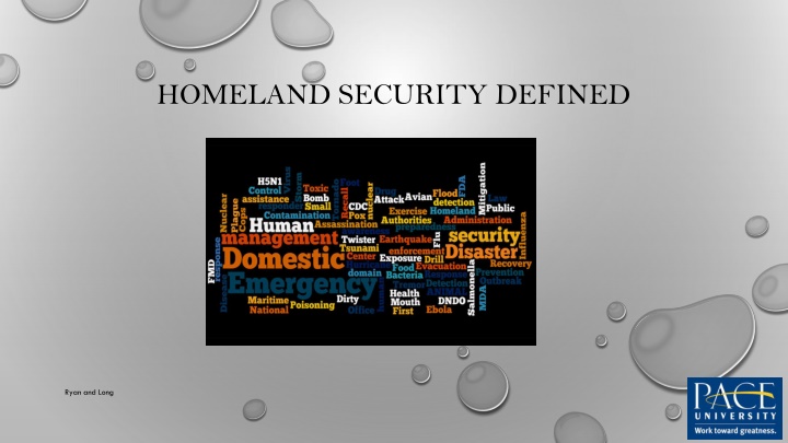 Homeland Security Stakeholders and Preparedness