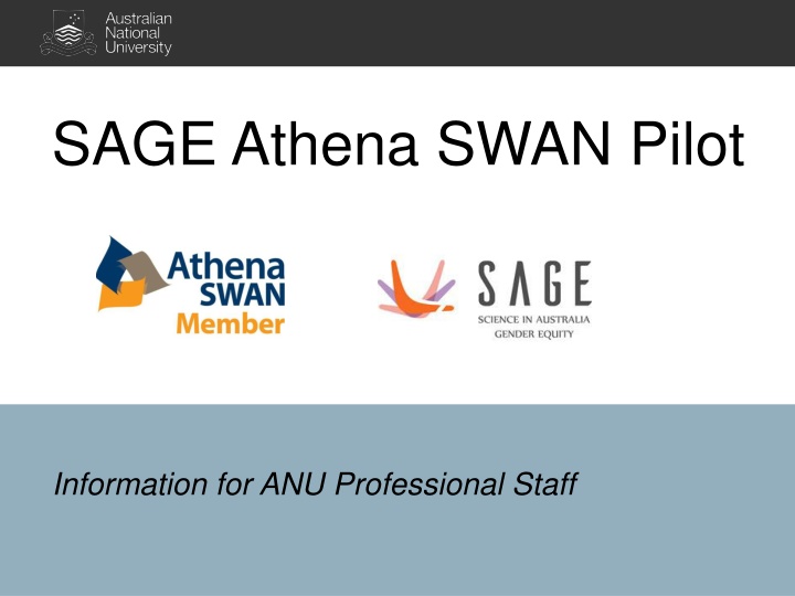 Gender Representation and Diversity at ANU: Insights and Trends