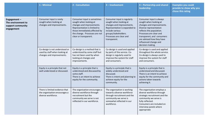 Consumer Engagement and Partnership Framework Assessment