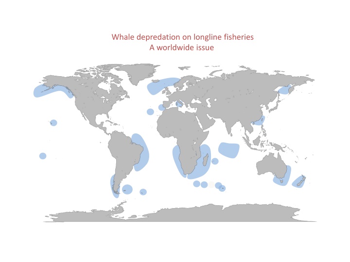 Addressing Whale Depredation in Longline Fisheries: A Global Perspective