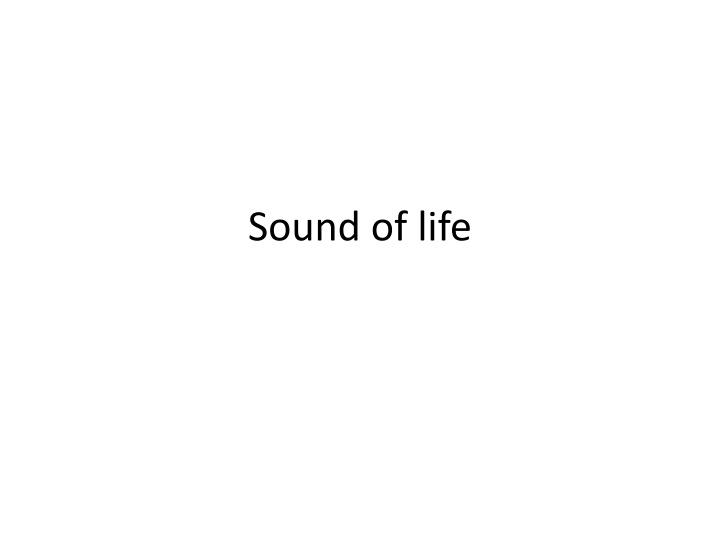 The Sound of Life Building: A Sanctuary for Healing and Growth