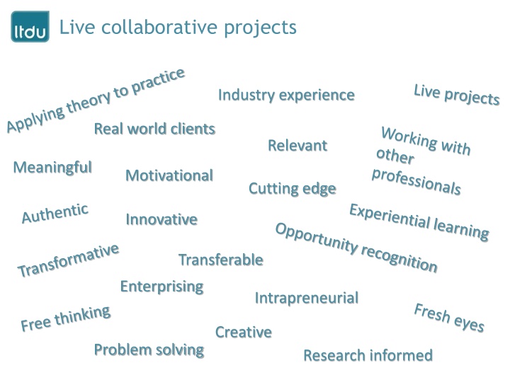 Empowering Students Through Real-World Projects and Industry Placements