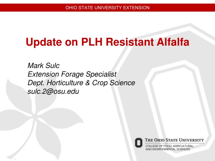 Advancements in Potato Leafhopper-Resistant Alfalfa Cultivars