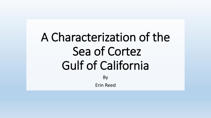 Characterization of the Sea of Cortez: Overview and Analysis by Erin Reed