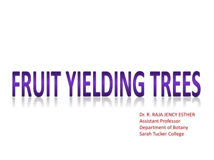 Fruit-Yielding Trees: Mango, American Plant, Citron