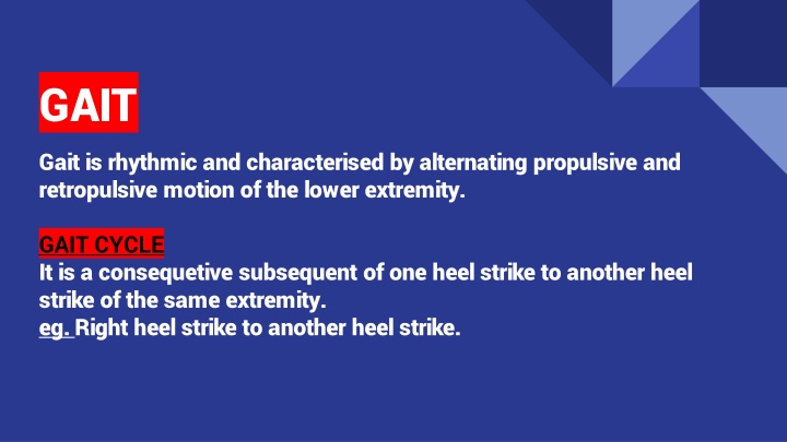 The Phases of Gait Cycle