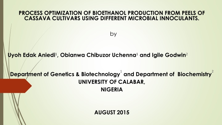 Optimization of Bioethanol Production from Cassava Peels Using Microbial Inoculants