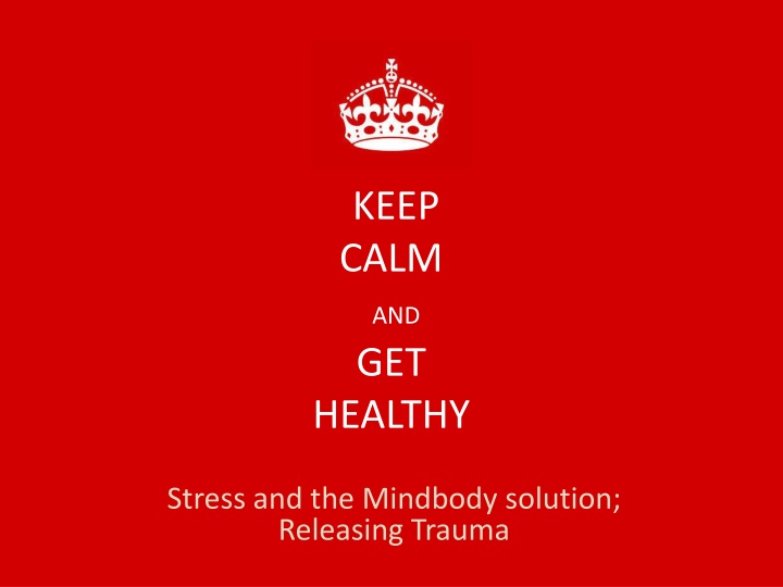 Holistic Approach to Health and Well-being: Understanding Stress, Trauma, and Natural Solutions