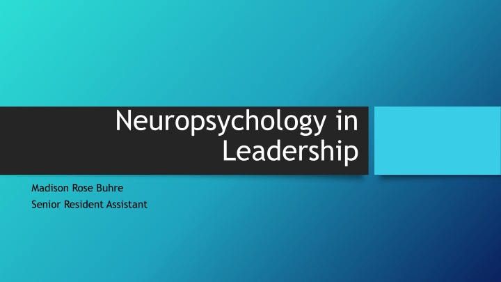 Personality Traits: Neuropsychology in Leadership Assessment