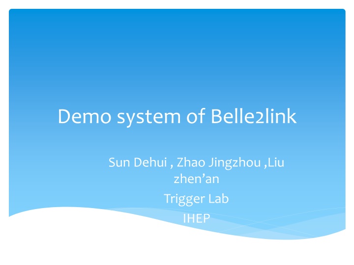 Overview of Belle2Link System