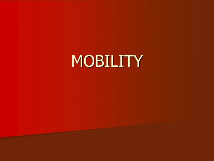 Mobility Challenges Survey Findings