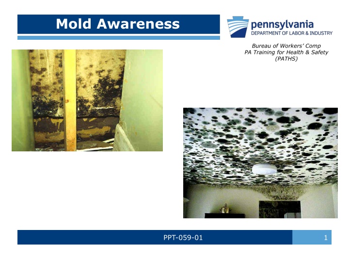 Mold Awareness and Health Risks