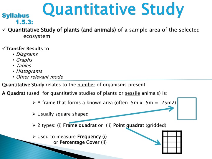 Quantitative Study of Plants and Animals Ecosystem Using Quadrats