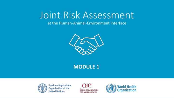 Comprehensive Guide to Joint Risk Assessment at the Human-Animal-Environment Interface