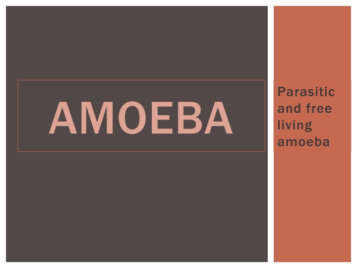 Overview of Amoebae: Parasitic and Free-Living Varieties
