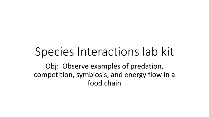 Species Interactions in a Lab Setting